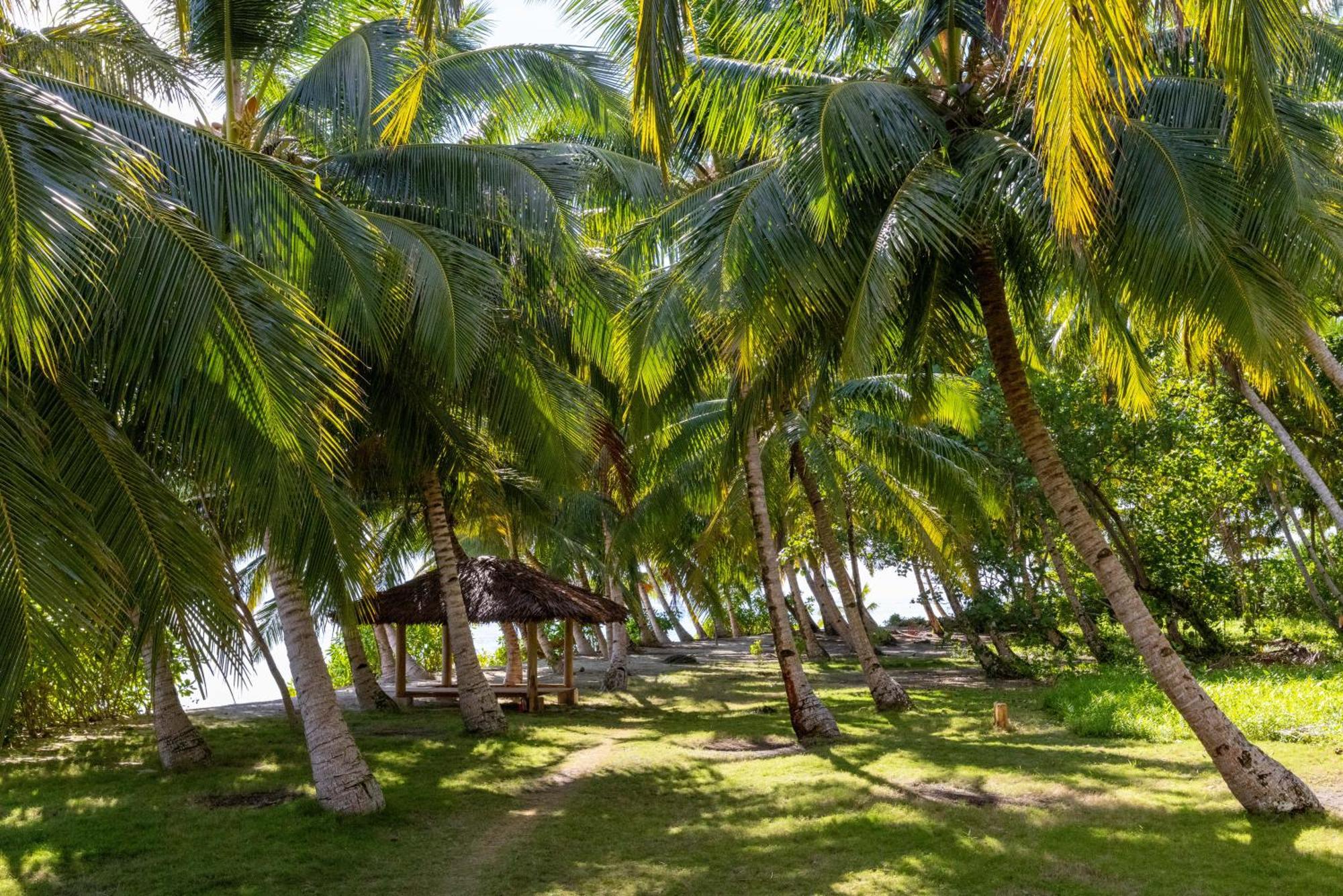 Aloita Resort Mentawai Tua Pejat Luaran gambar